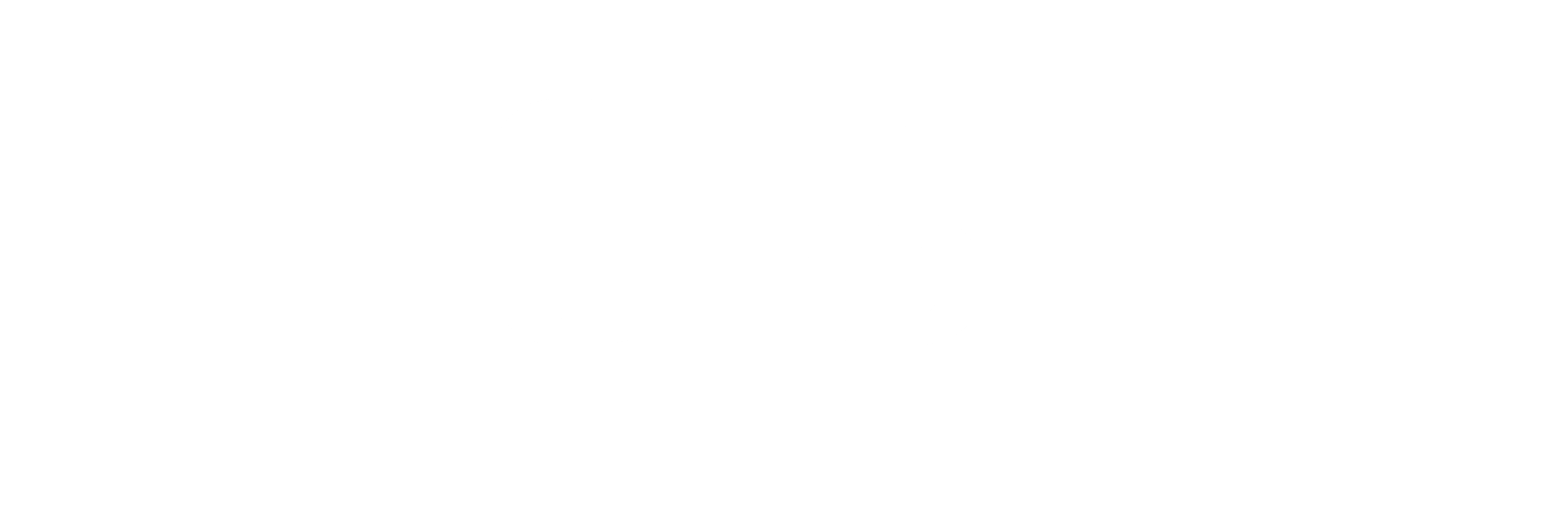 Logo_weiss_2.png