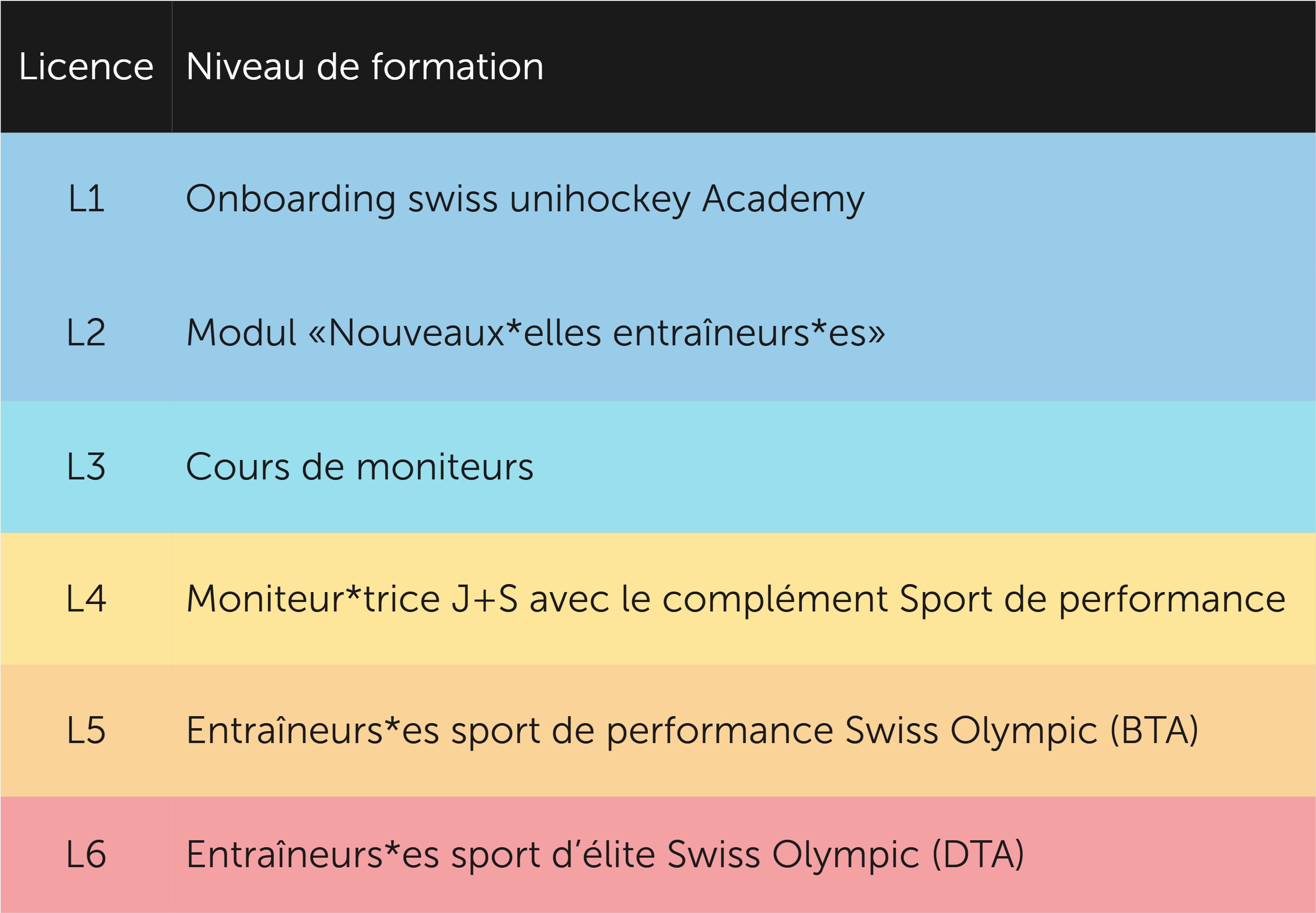 License - Niveau de formation.jpg